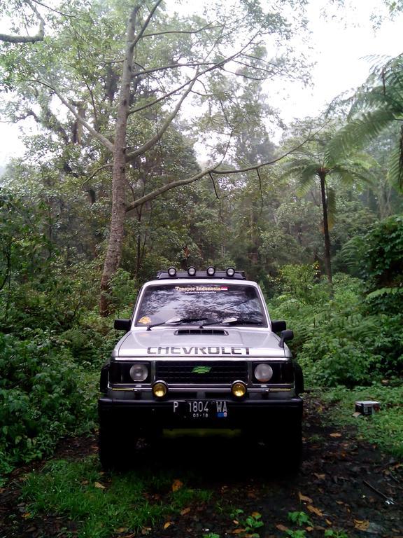 Banyuwangi Homestay Exteriör bild