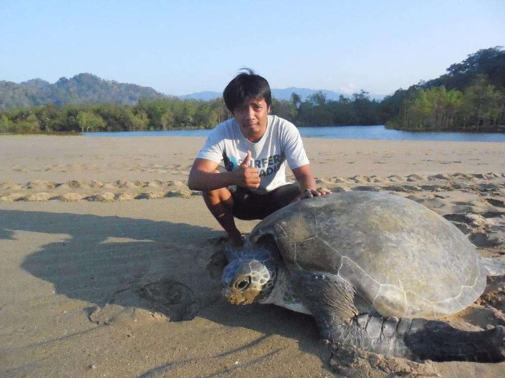 Banyuwangi Homestay Exteriör bild